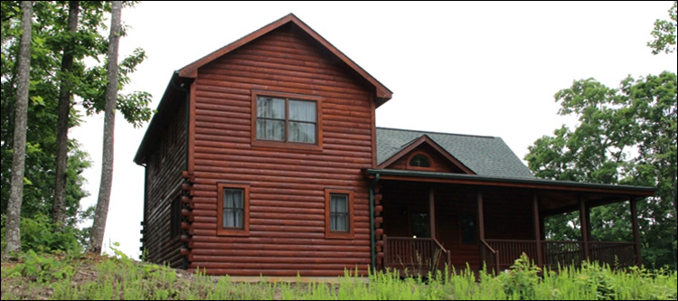 Professional Log Home Borate Application  Merritt,  North Carolina